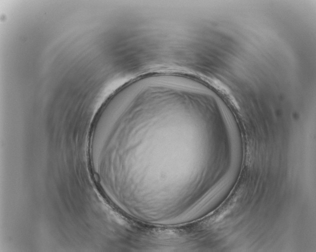 X0000088831231200706281748