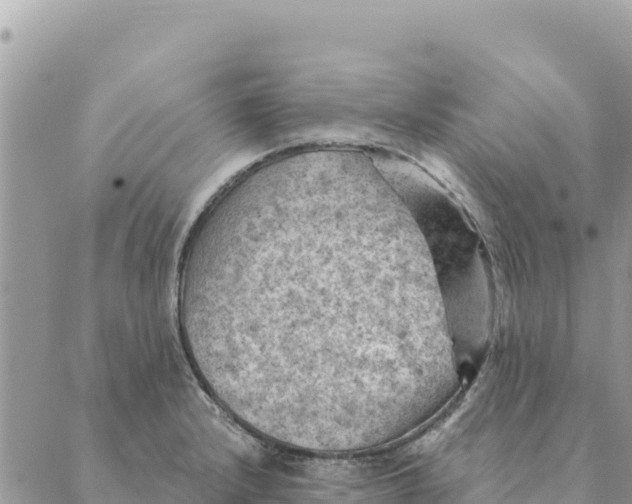 X0000088831232200706281748