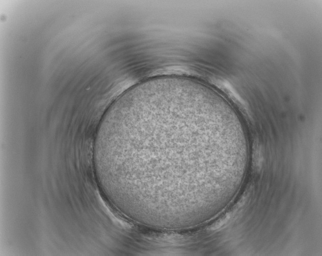 X0000088831233200706281748