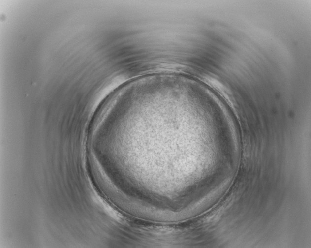 X0000088831235200706281748