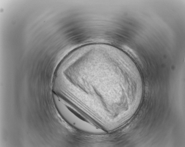 X0000088831236200706281748