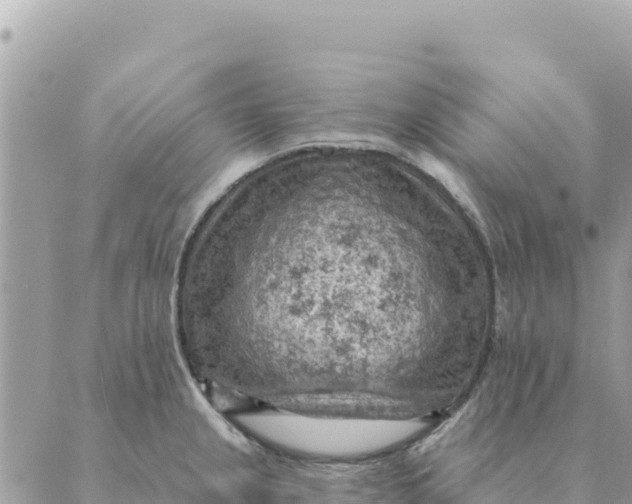 X0000088831237200706281748