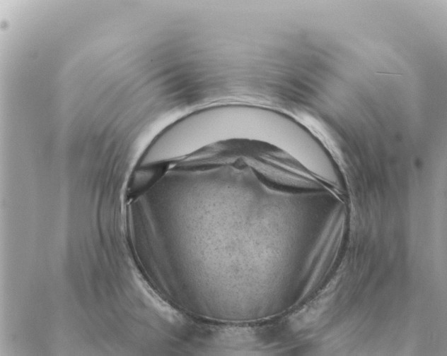 X0000088831238200706281748