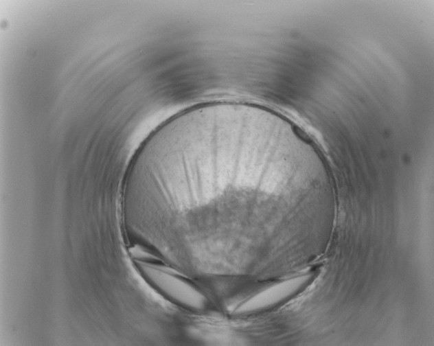 X0000088831239200706281748