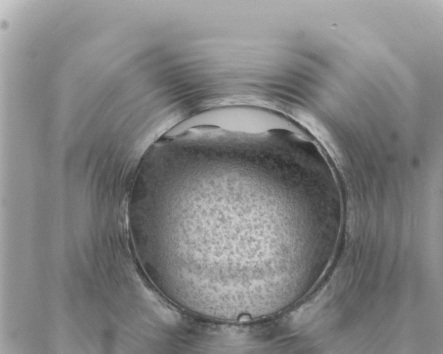 X0000088831241200706281748