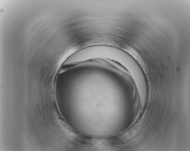 X0000088831242200706281748