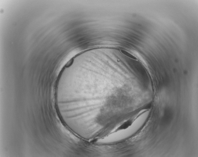 X0000088831243200706281748