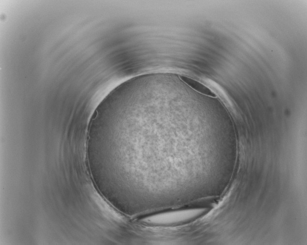 X0000088831244200706281748