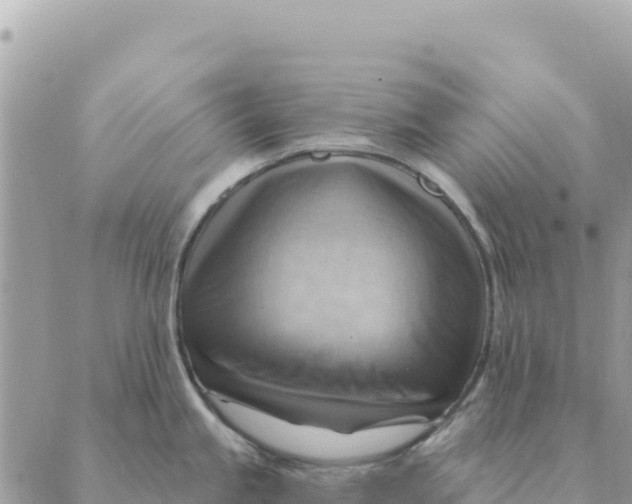 X0000088831245200706281748