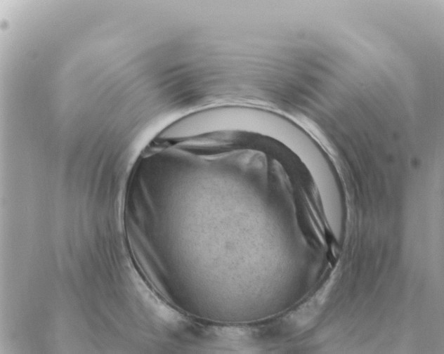 X0000088831246200706281748