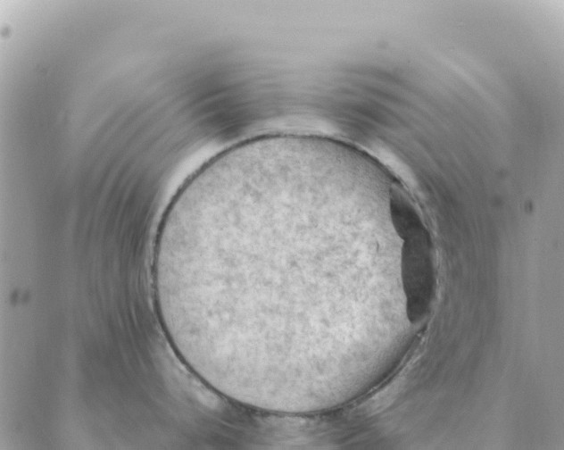 X0000088831248200706281748