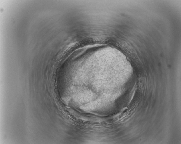 X0000088831249200706281747