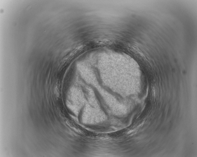 X0000088831250200706281747