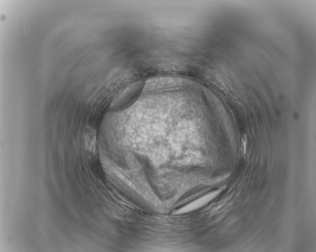 X0000088831251200706281747