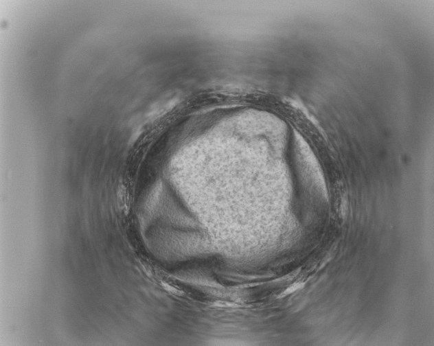 X0000088831253200706281747