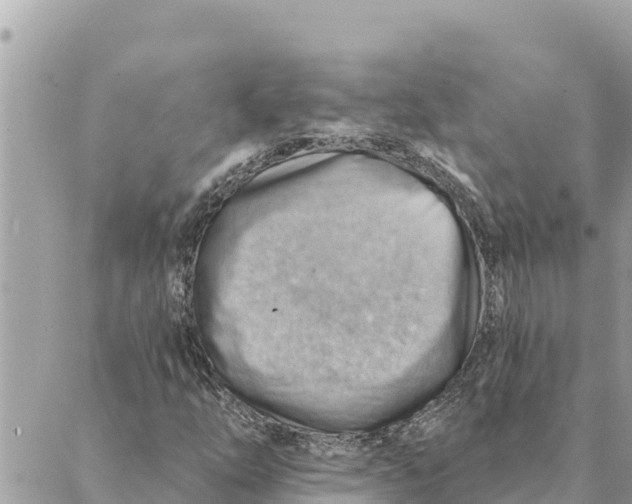 X0000088831254200706281747