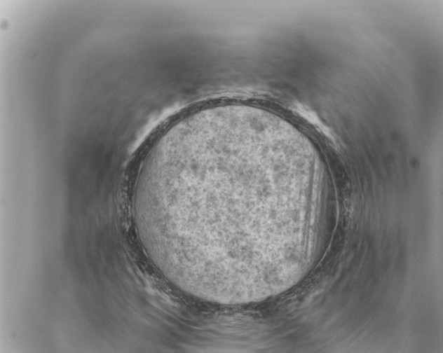 X0000088831256200706281747