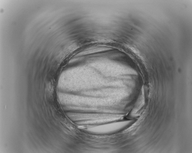 X0000088831257200706281747