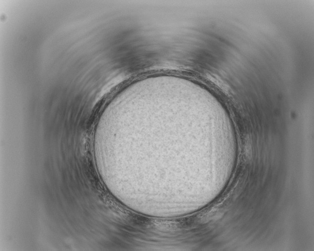 X0000088831258200706281747