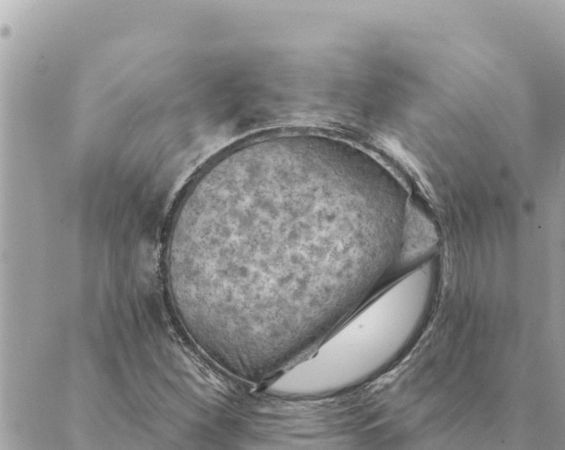 X0000088831260200706281747