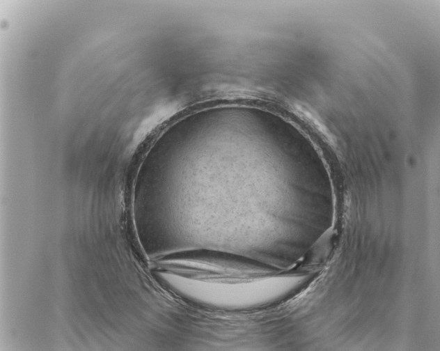 X0000088831261200706281747