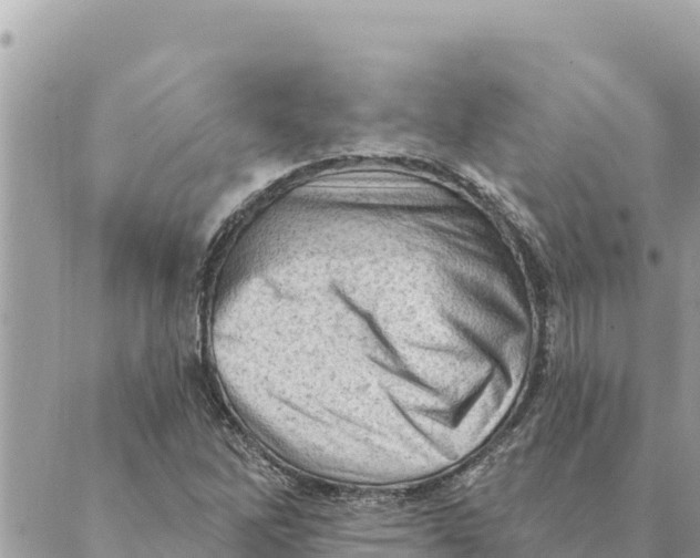 X0000088831262200706281747