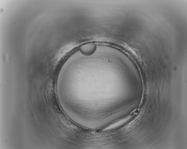 X0000088831263200706281747