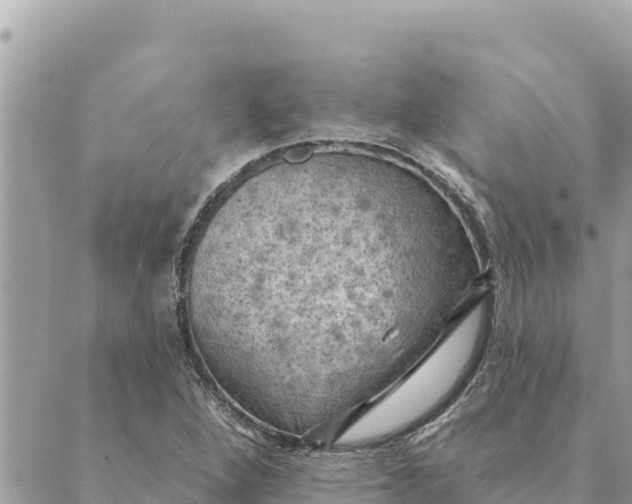 X0000088831264200706281747