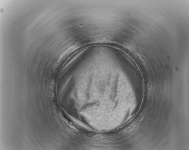 X0000088831265200706281747