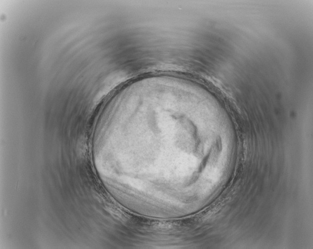 X0000088831266200706281747