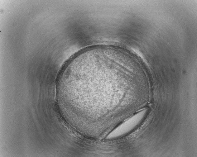 X0000088831267200706281747