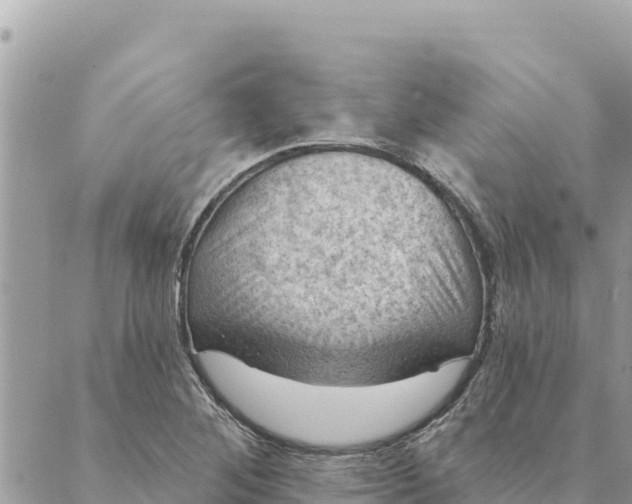 X0000088831268200706281747