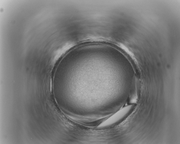 X0000088831269200706281747