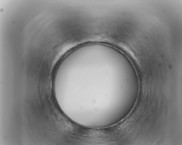 X0000088831270200706281747