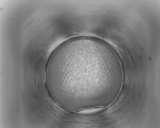 X0000088831271200706281747