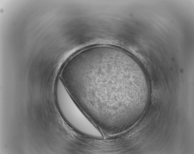 X0000088831272200706281747