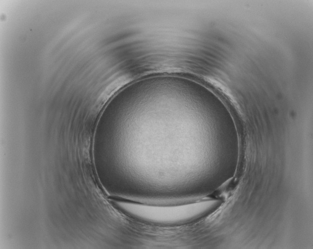 X0000088831273200706281747