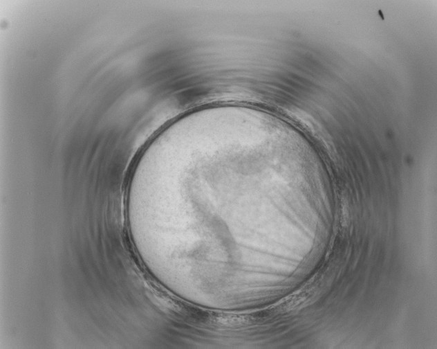 X0000088831274200706281747