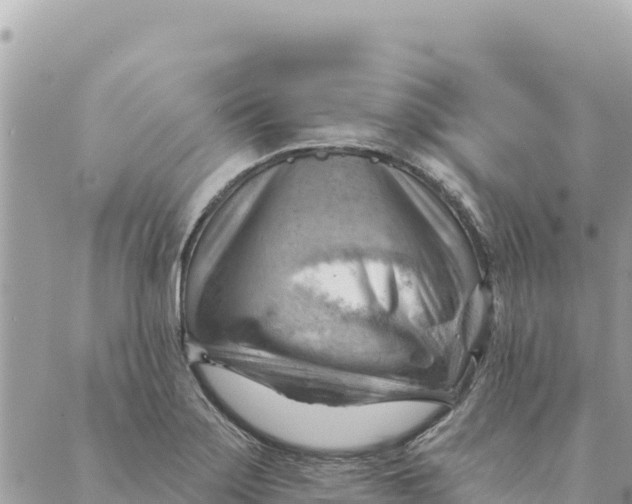 X0000088831275200706281747