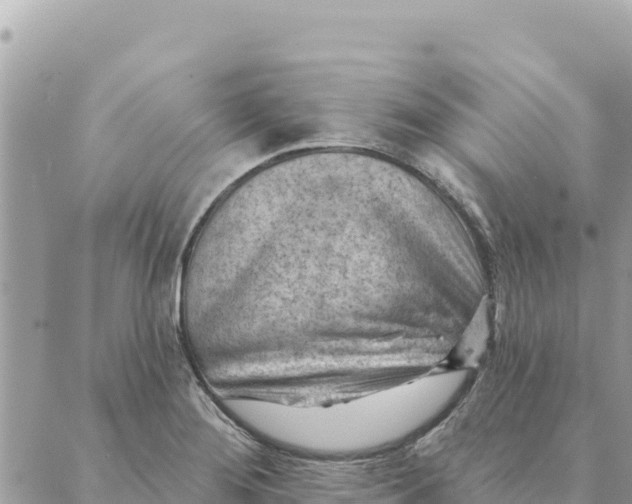 X0000088831276200706281747