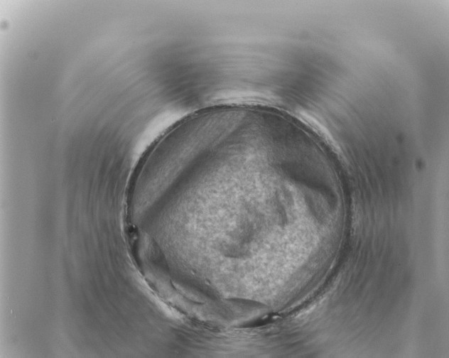 X0000088831277200706281747