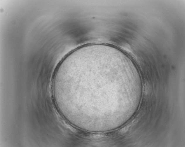 X0000088831278200706281747