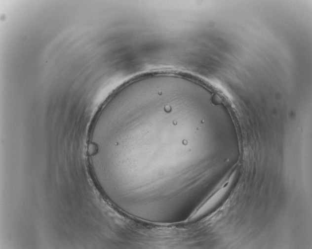 X0000088831279200706281747