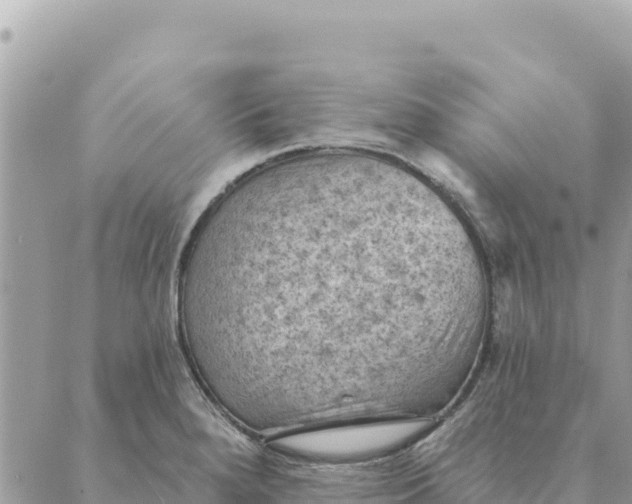 X0000088831280200706281747