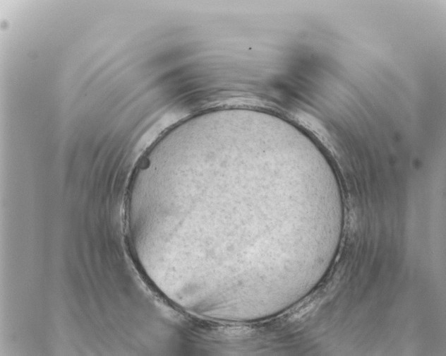 X0000088831282200706281747