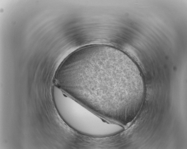 X0000088831284200706281747