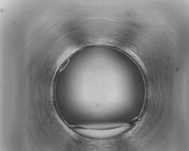 X0000088831285200706281746