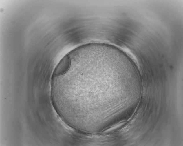 X0000088831287200706281746