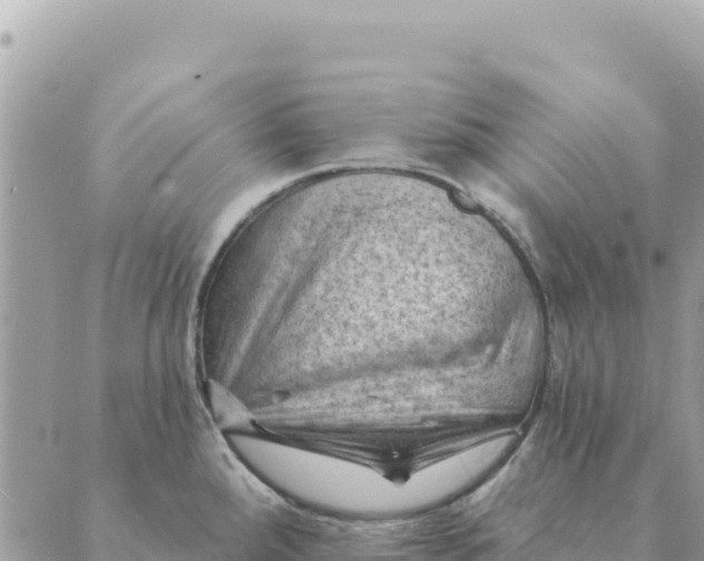 X0000088831288200706281746