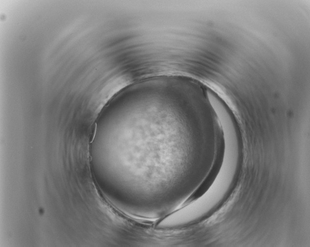 X0000088831289200706281746